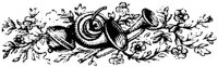 OFM001I.JPG