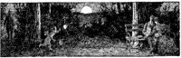 OCI011L.JPG