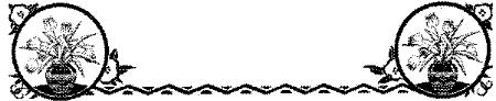 LAC102A.JPG