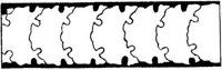 JPB065E.JPG