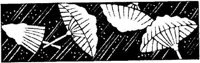 JPB059E.JPG