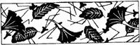 JPB059D.JPG