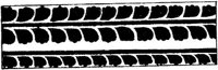 JPB057E.JPG
