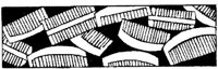 JPB049B.JPG