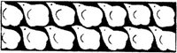 JPB038E.JPG