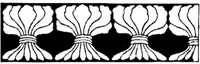 JPB036F.JPG