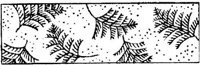 JPB029F.JPG