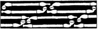 JPB027A.JPG