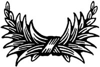 FMF091B.JPG
