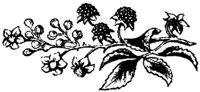 FMF072Q.JPG