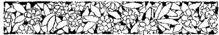 FMF064A.JPG