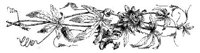 FMF039A.JPG