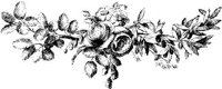 FMF031D.JPG
