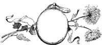 FMF026C.JPG