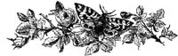 FMF023G.JPG