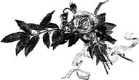 FMF022A.JPG