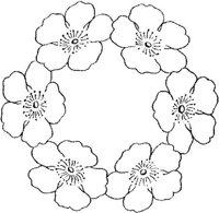 FLM061C.JPG