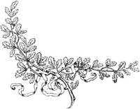 EAC115C.JPG