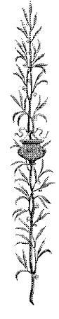 EAC095E.JPG