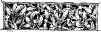 EAC094I.JPG