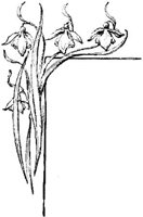 EAC091K.JPG