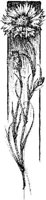 EAC091E.JPG