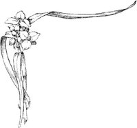 EAC090F.JPG