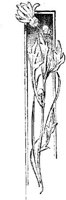 EAC089G.JPG