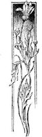 EAC089F.JPG
