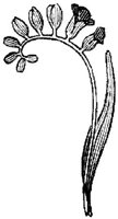 EAC088L.JPG