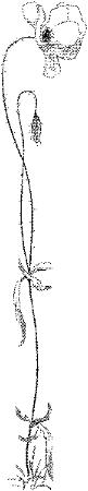 EAC088G.JPG