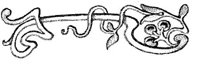 EAC049F.JPG