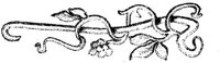 EAC049E.JPG