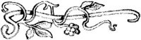 EAC049D.JPG