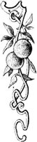 EAC048K.JPG