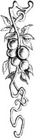 EAC048J.JPG