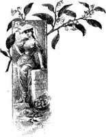 EAC034A.JPG