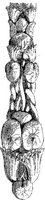 CTP222A.JPG
