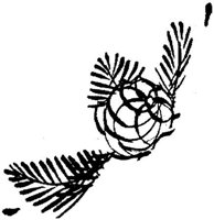 ASI068J.JPG