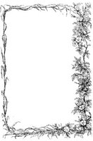 VSI086L.JPG