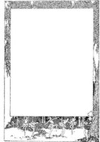CHW078A.JPG