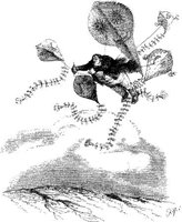 FIG047B.JPG