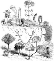FIG044B.JPG