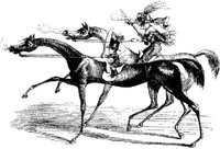 FIG030B.JPG