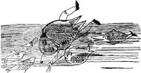 ELN041A.JPG