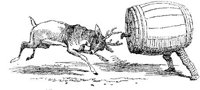 HVS119D.JPG