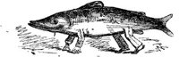 HVS111D.JPG