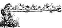 HVS110A.JPG