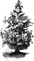 HVS019F.JPG