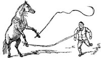 HDC004A.JPG